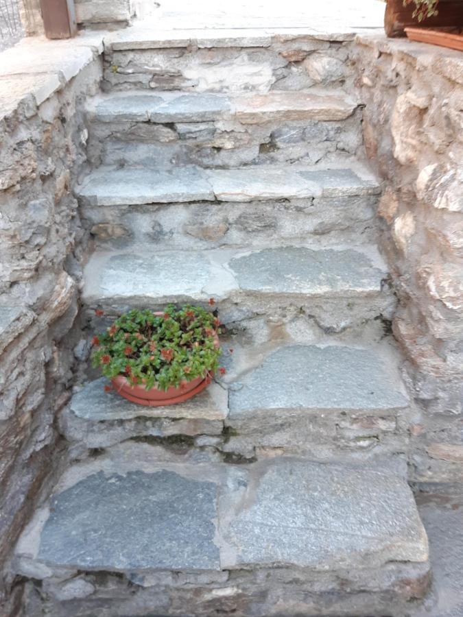 Apartamento Sauze d'Oulx with garden, ciâbőt la garitüla Exterior foto